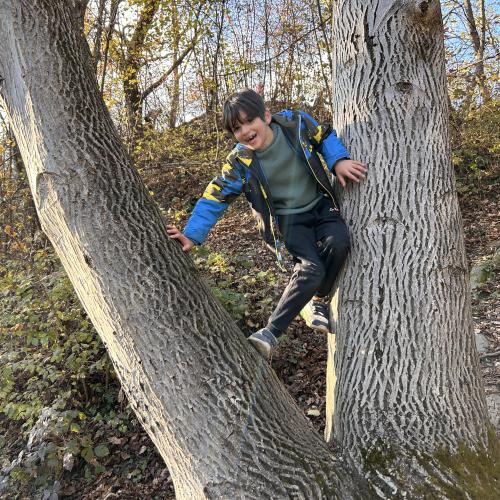 Actionreiche Entdeckung