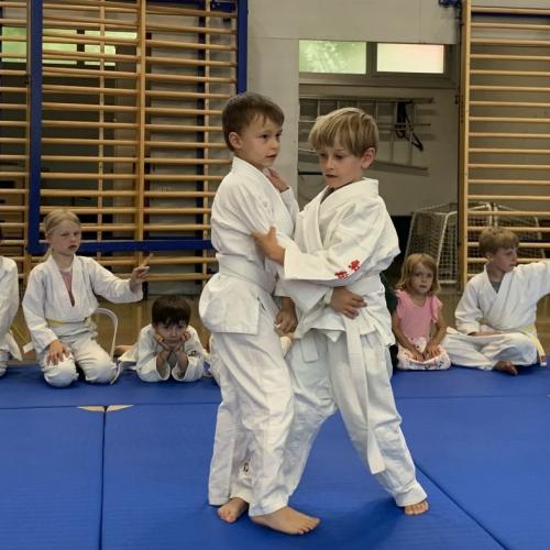 Judo Stand