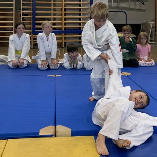 Judo Sicherung