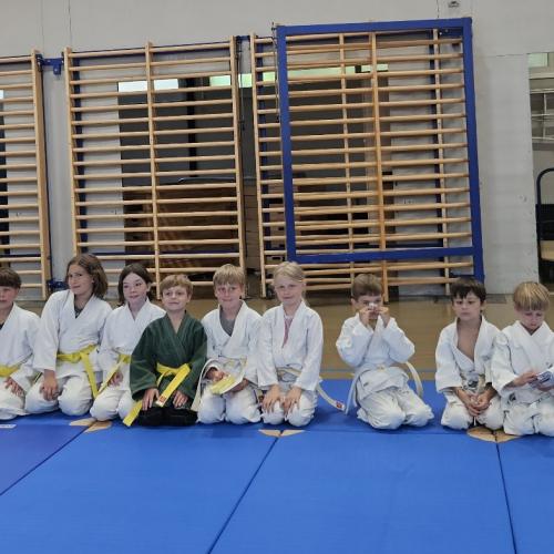 Judo Gruppe