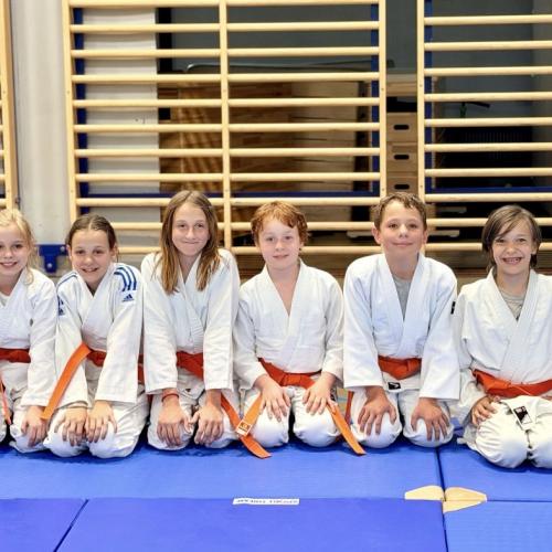 Judo Gruppe 3