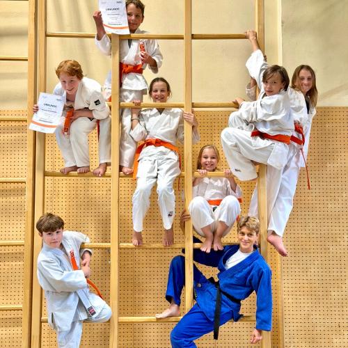Judo Gitterleiter
