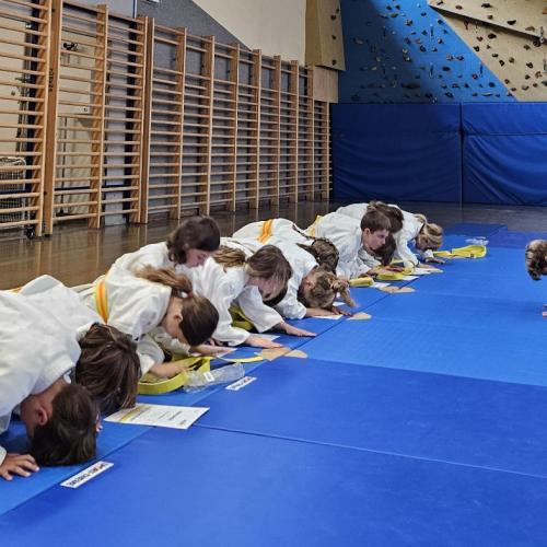 Judo Rei