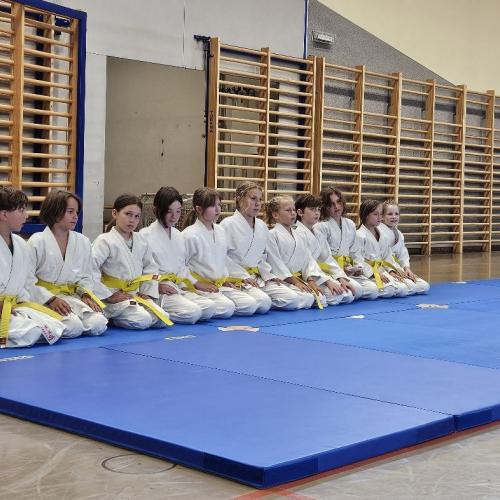 Judo Matte