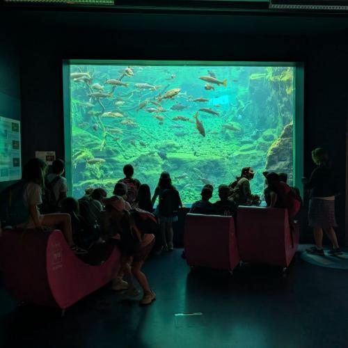 Aquarium