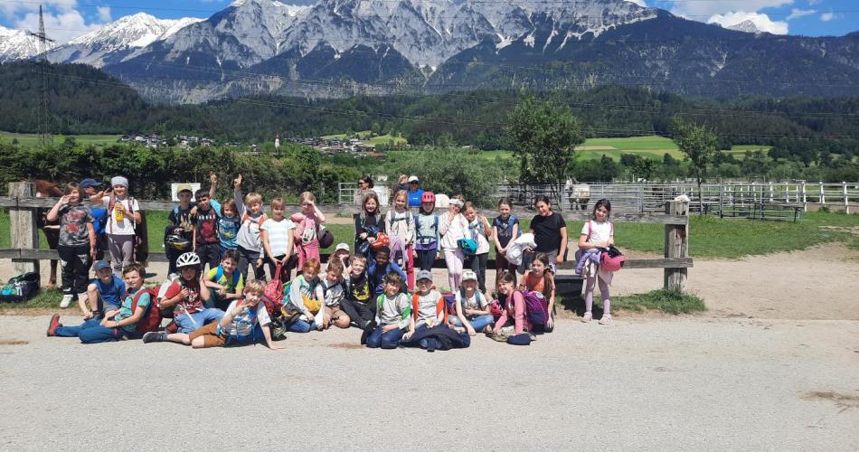 erlebnisreiche Tage am Pferdehof in Volders