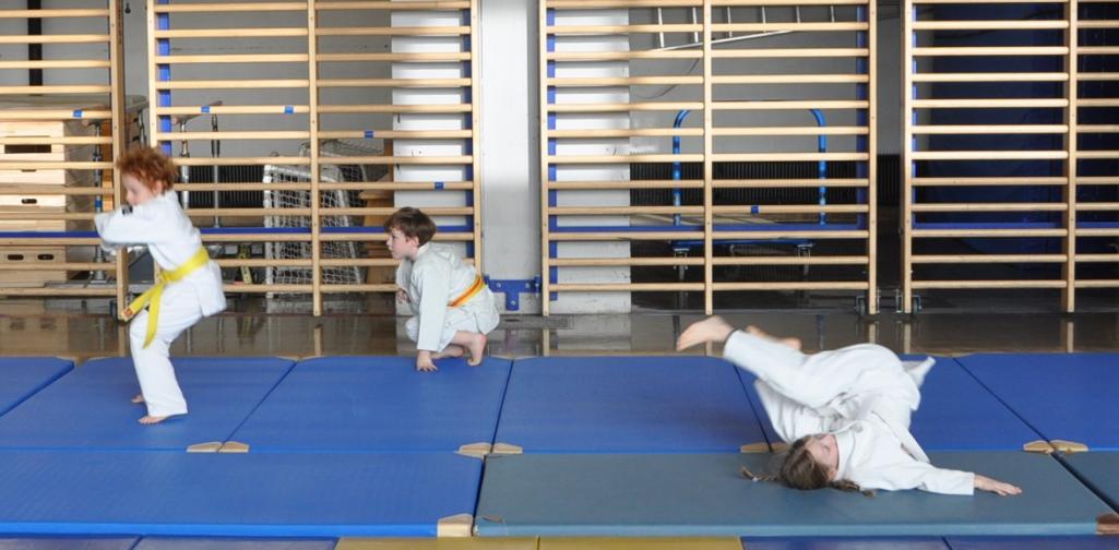 Judoturnier Rolle rw Judoturnier Rolle rw