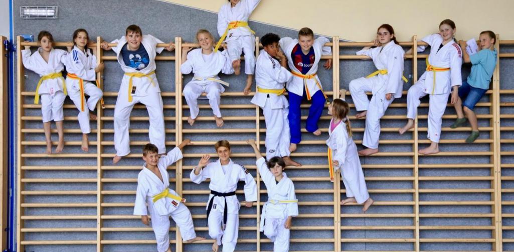 Gelb_orange_Gurt Gelb_orange_Gurt